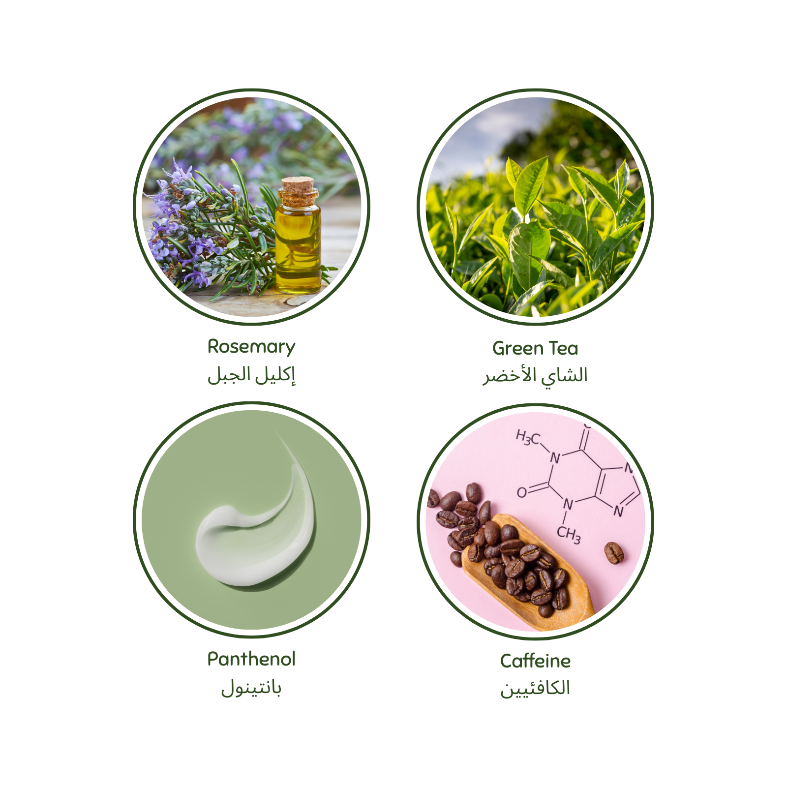 Four circular icons representing Rosemary, Green Tea, Panthenol, and Caffeine with corresponding images and text. Luminneal5 soak shampoo